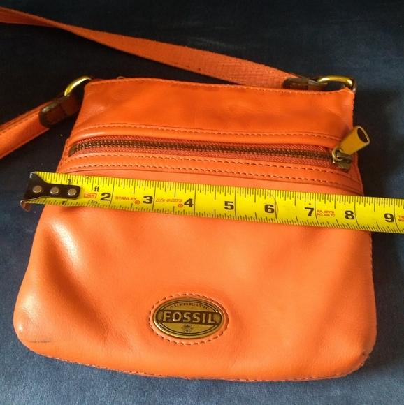 The flawed fossil purse - Picture 3 of 12